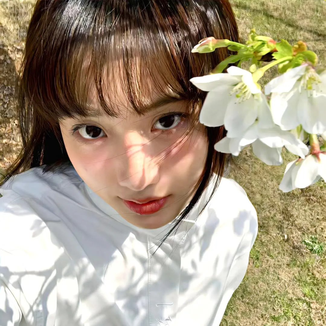格斯的屋子封面