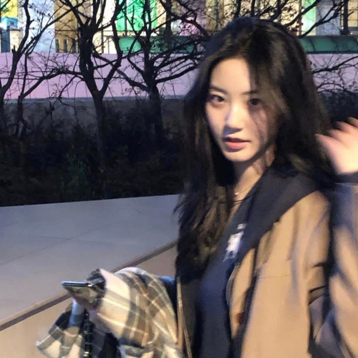 与鸭共舞封面