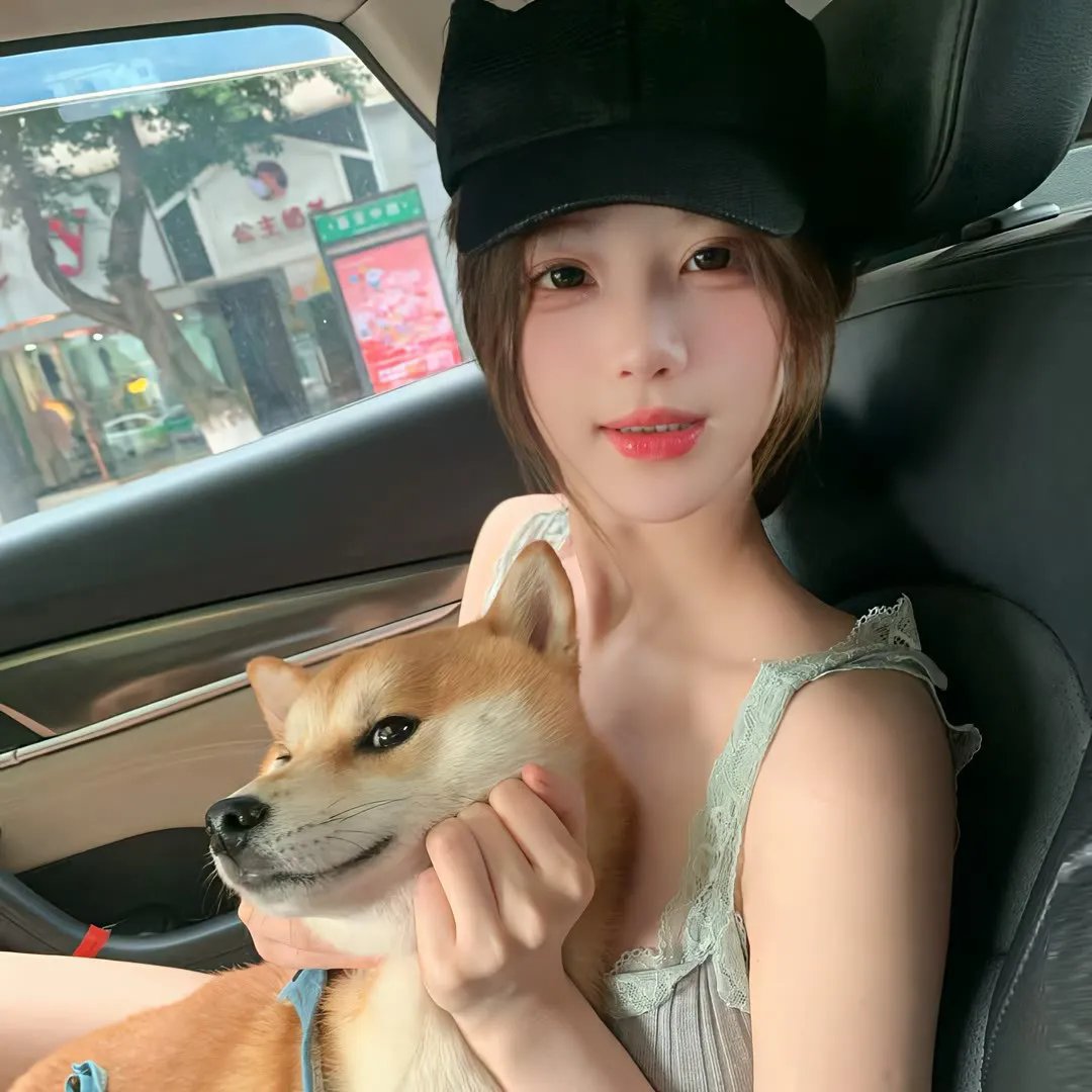花木兰封面